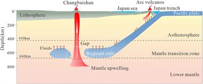 Research Progress on Cenozoic Volcano Genesis and Fluid Action in Northeast China